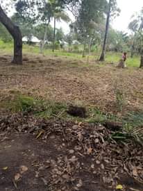 A picture of Unahitaji NI LAK