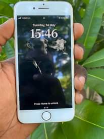 A picture of IPHONE 8 PLAIN