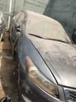 A picture of Honda Accord 2008