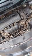 A picture of 2009 Toyota Corolla