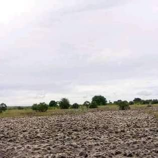 A picture of Jee unaitaji kiwanja
