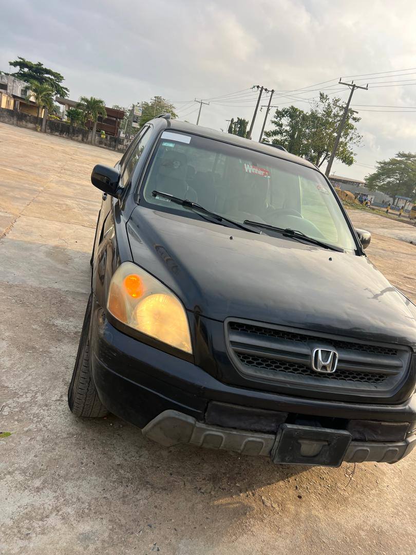 A picture of Honda pilot
