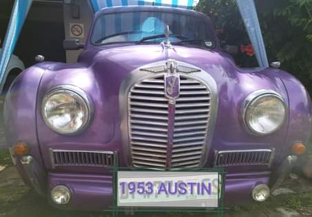 Classic,Muscle A.
