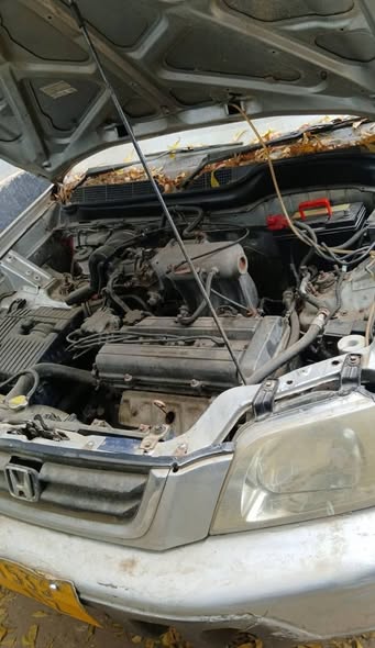 A picture of HONDA CRV