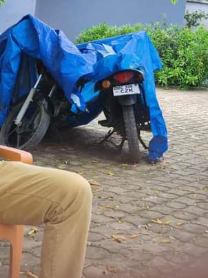 A picture of Boxer 125cc