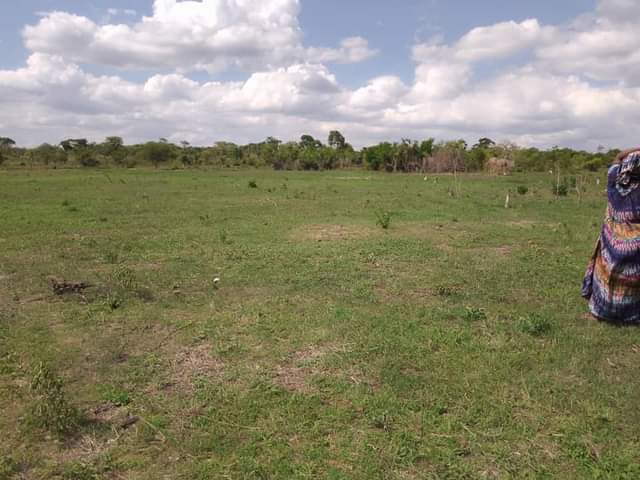 A picture of SHAMBA HEKA 6 LINAUZWA KILA HEKA MOJA TSH 650 000