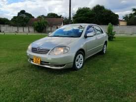 used toyota corolla