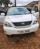 Bashir M.