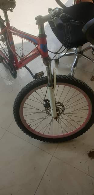 A picture of Baiskeli bcycle