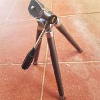 A picture of King Tripod