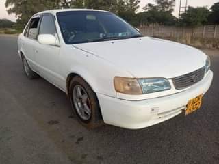 used toyota corolla