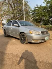 A picture of COROLLA