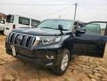A picture of LAND CRUISER PRADO TX 2017model