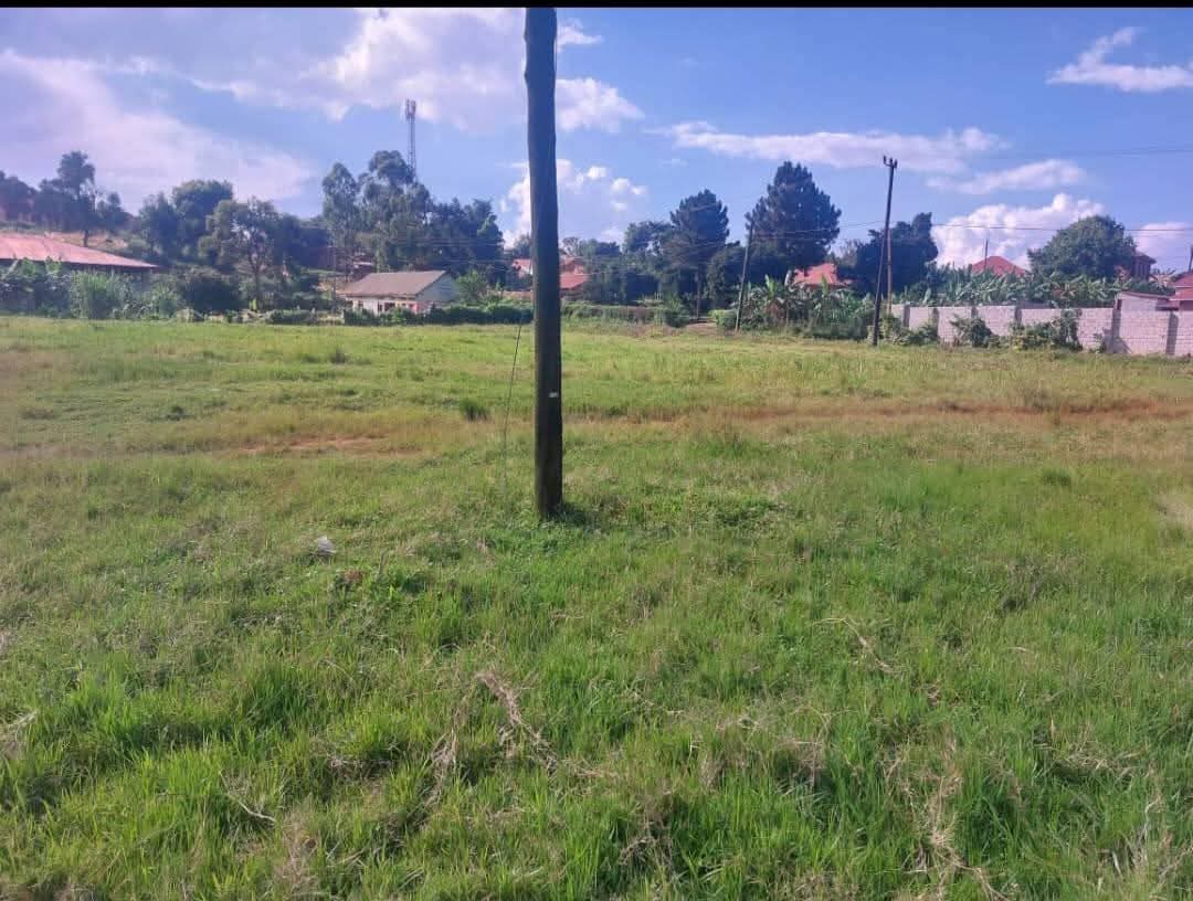 A picture of Titled plots