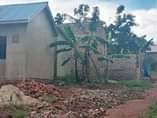 A picture of BRAND NEW HOUSE ON QUICK SALE 12MILLION MATUGGA KAVURE PRICE