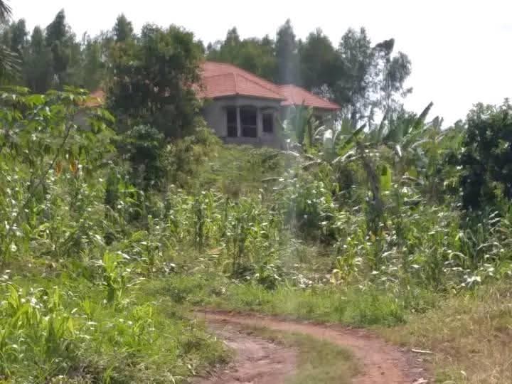 A picture of 50 100ft plot 14m negotiable nakawuka jungo