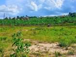 A picture of Plot size 100by50ft on sale 9m located Biharwe 2miles off