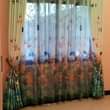 A picture of Curtains and carpets