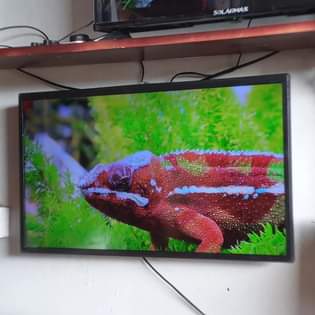 A picture of NCH 32 TSH 175