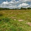 A picture of 80 acres of land in ntungamo for sale at 14m