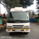Mashline M.