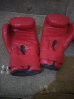 A picture of New Everlast boxing gloves