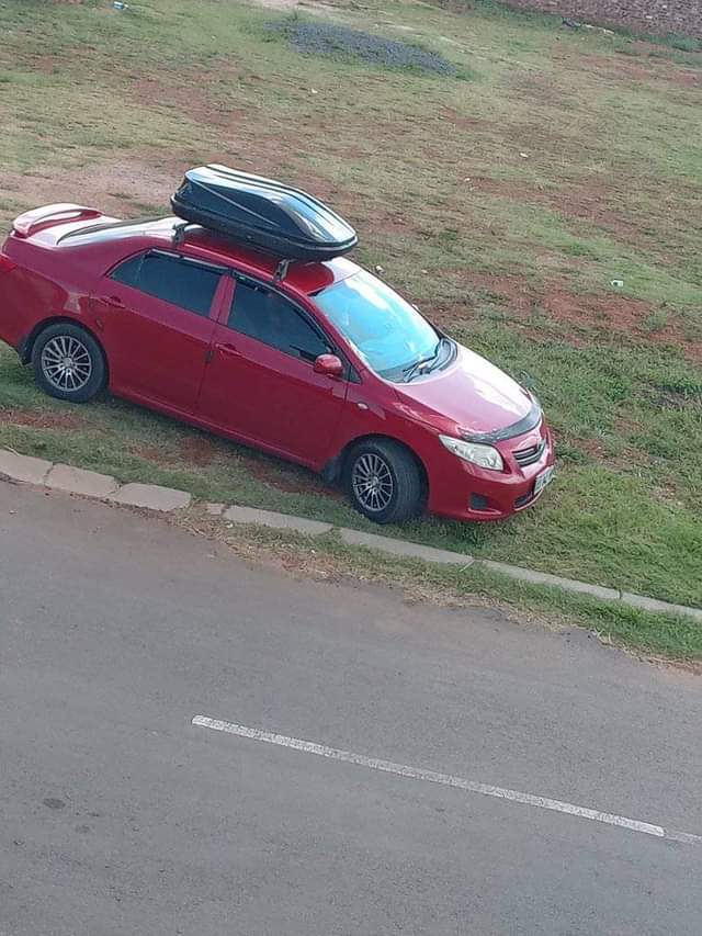 Mt T.