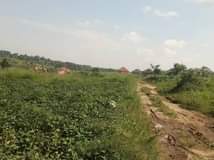 Gavamukulya T.