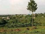 A picture of Bombo kalule town view plots on sale
