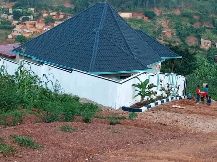 houses for rent