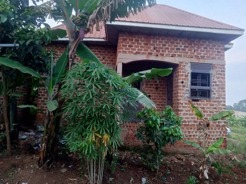 A picture of House for sale at 24m ugx in matugga buwambo Call