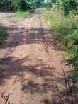 A picture of 13 very fertile acres on sale all at 130m it