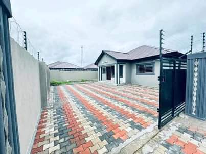 new kasama
