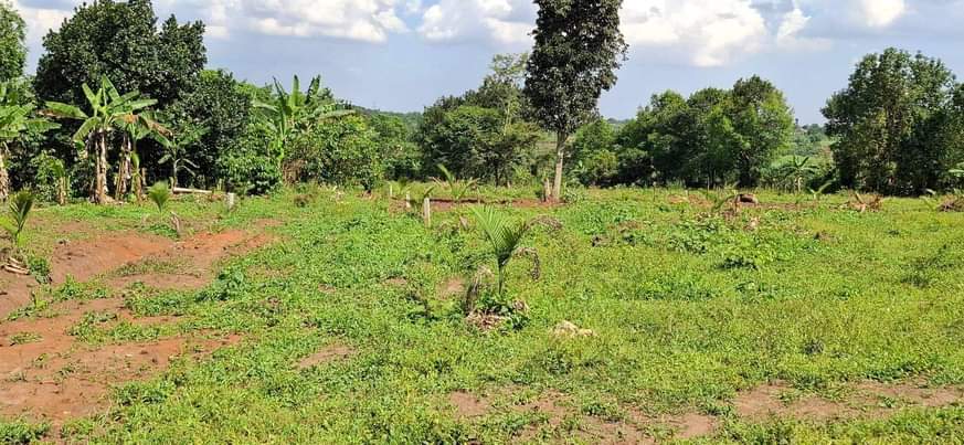 A picture of Land