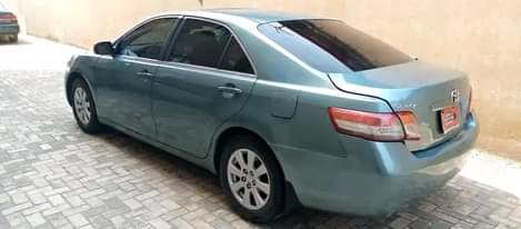 A picture of SWEET NEW YEAR GIFT Owner is back from journey Super