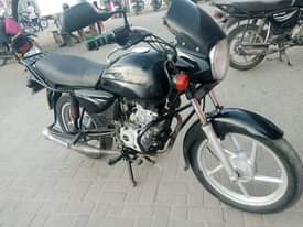 A picture of Boxer 159