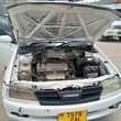 A picture of 5 5m 0688147887