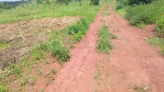 A picture of Plot for sale Price 8 5millions