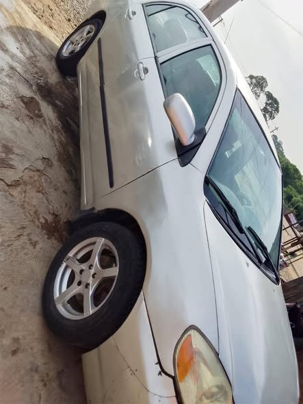 A picture of 07031135291