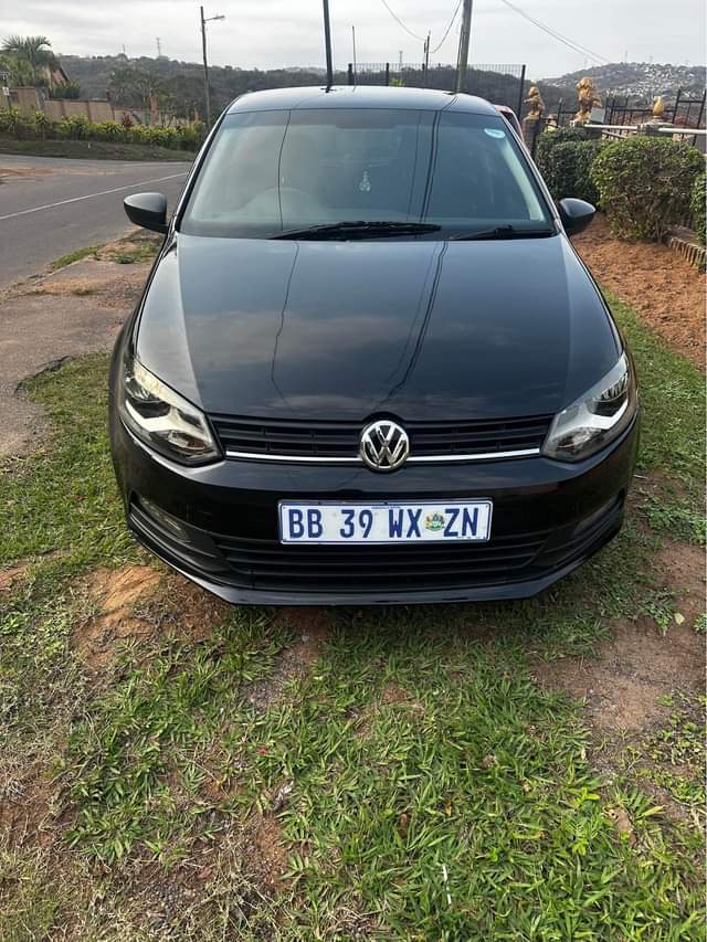 polo vivo