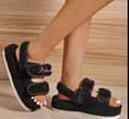 A picture of Shoe