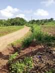 A picture of PLOTS 4 SALE IN NAKAWUKA Located 1km from Nakawuka town