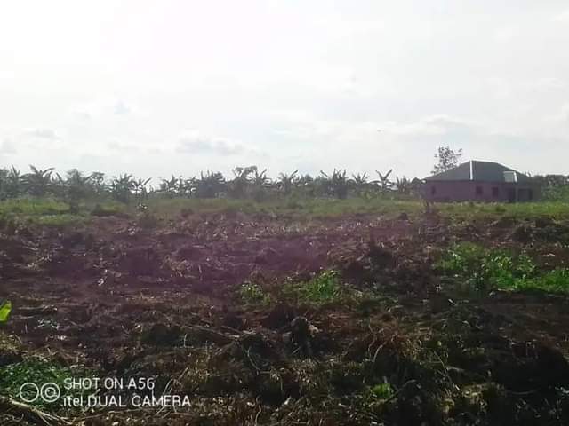 houses matugga