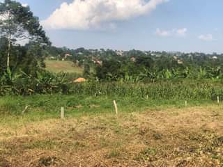 A picture of A PLOT OF LAND FOR SALE