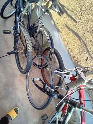 bicycle