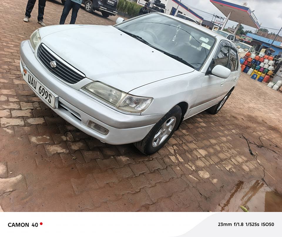 A picture of Toyota premio