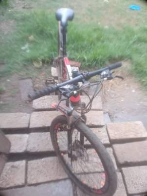 bicycle