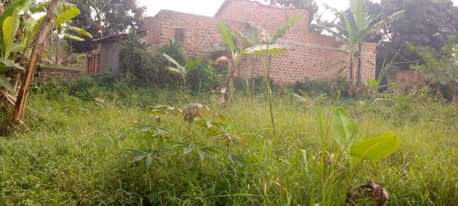 A picture of Affordable commercial plots in Kawanda Kirinyabigo trading center wakiso