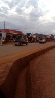 Onyango J.