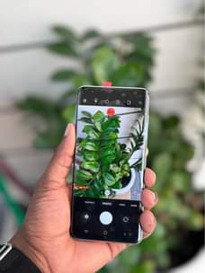 A picture of Galaxy S10